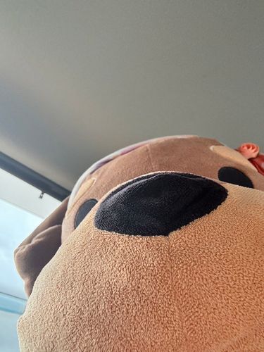 とっとと！
とっとは今、ちっぷくんたちのお家にお泊まりしてると！
なぜなら、シルバーウィークに一緒に旅行に行くからと！
楽しみとよ〜！！！！