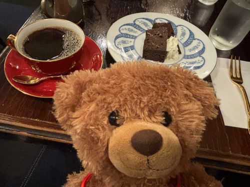 ららちゃんらら！
ららは、数週間前にお迎えされたらら！
ぽぽちゃんやゆゆちゃんと同じ大きさの🧸さんらら！
でも、赤いリボンが解けてたららから、付けてもらったらら！🎀
この写真は、お迎えされてすぐ、カフェで撮ってもらったらら！
これから楽しいことが沢山ららね〜✌️