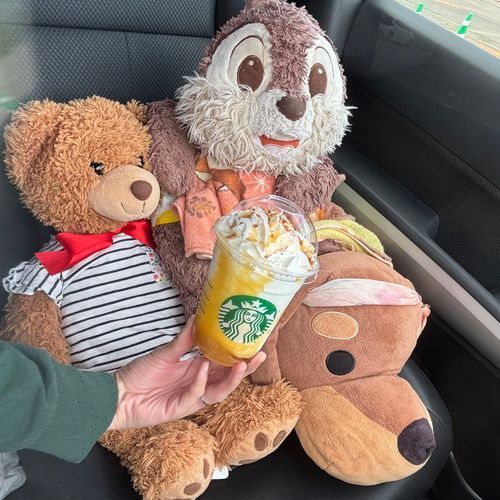 ぴぴちゃんぴ！
珍しくニンゲンがスタバ飲んでたぴ！
芋の飲み物だったと思うぴ！
甘すぎず、飲みやすかったぴよ！