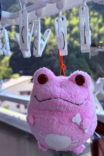 きれいになって良かったね