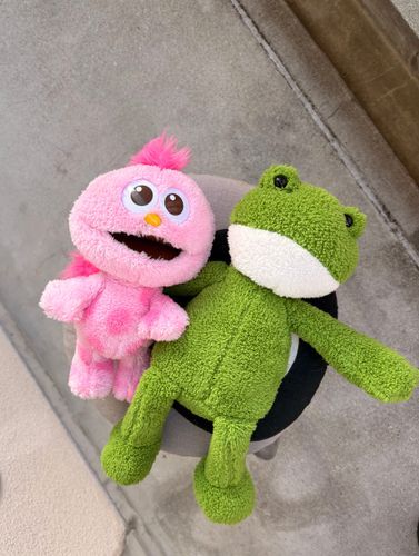 きれいになって今から
2人で日光浴😊