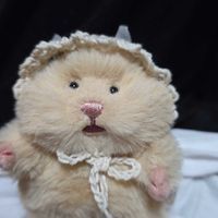 はちのすけ