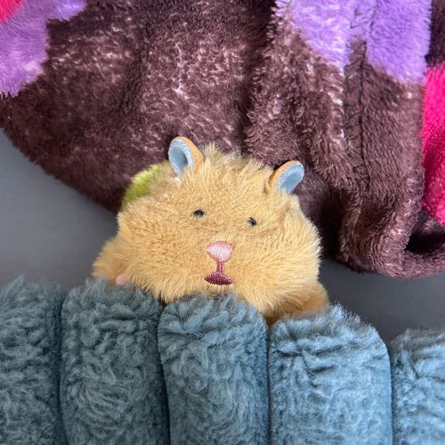 なんてことないきゅぅじつ