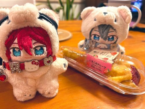 なくすの怖すぎていつぬちゃんたち近場か家で撮った写真しかなくてごめんの気持ち