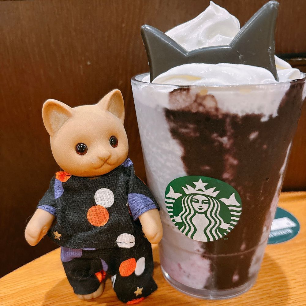 ⋆⸜ 🎃ྀི ʜᴀᴘᴘʏ ʜᴀʟʟᴏᴡᴇᴇɴ 👻 ⸝⋆
スタバの猫耳フラペチーノーー！おいしかった…🐈‍⬛✧*｡

スタンプありなし、どっちもかわいい🐱(おやばか)