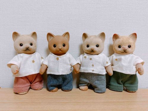 かいぬしがぼくのTシャツのあまり布で、きょうだいねこたちみんなにおそろいの洋服をつくってた🐱☆⡱