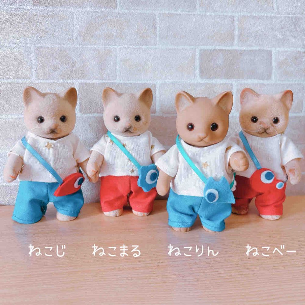 万博に向けてのコーデかんせい！
コミャクのポーチ風はおねえちゃん(かいぬし娘)がつくってくれたよ🐱

うれしいね、みんなでいこうね𓈒𓏸˖*𓐍