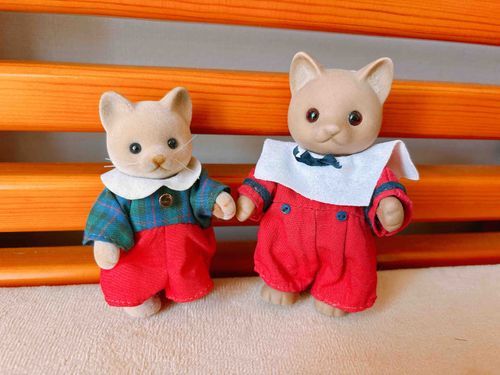 またまた運命の出会い…！
ねこりんよりちょっぴり小さい男の子ねこちゃんをリサイクルショップでみつけて、お迎え🐱✧*｡
