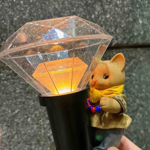 昨日はかいぬしの「推し活」に同行してライブイベントへ★🪄🎧⋆｡ °⋆
ぼくもかっこいいお洋服をつくってもらったよ💛🤎


