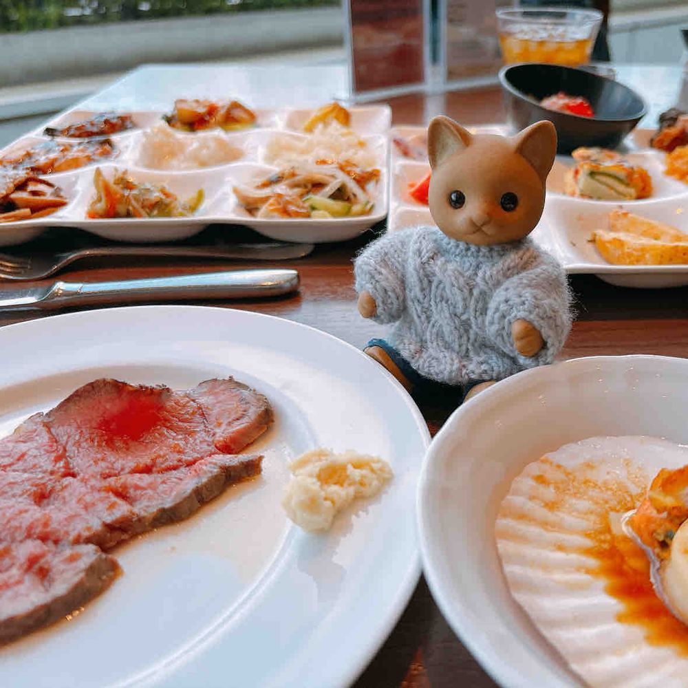 ホテルのビュッフェ🍽…˖⁺
ことしも北海道フェアのタイミングで🐱🍣₊⁺