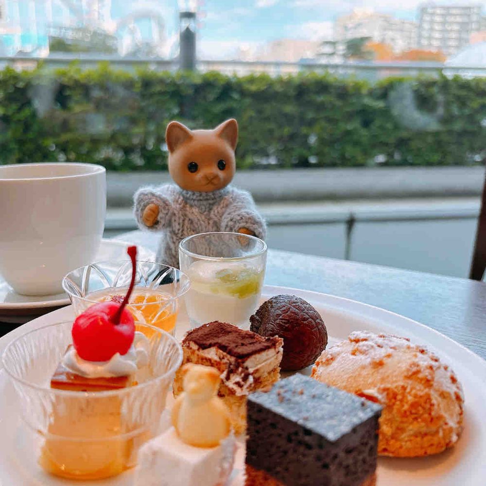 ホテルのビュッフェ🍽…˖⁺
ことしも北海道フェアのタイミングで🐱🍣₊⁺