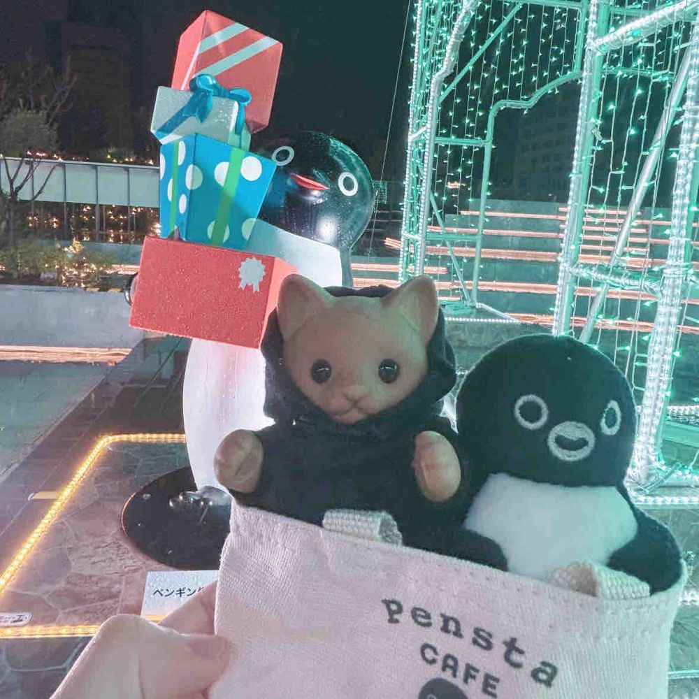 やっと。ペンギンといっしょにお出かけできた🐱🐧𓈒𓏸˖*𓐍
新宿のペンギン広場へ！イルミネーションきれいだったなぁ( ᵕᴗᵕ )✩⡱