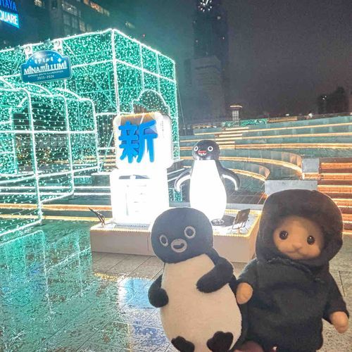 やっと。ペンギンといっしょにお出かけできた🐱🐧𓈒𓏸˖*𓐍
新宿のペンギン広場へ！イルミネーションきれいだったなぁ( ᵕᴗᵕ )✩⡱
