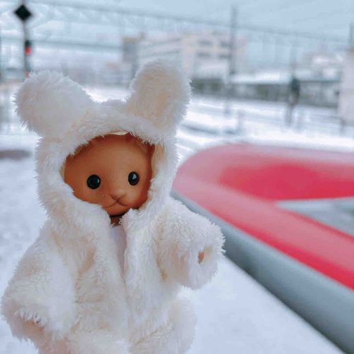 ぼく🐱はじめての秋田たび⛄❅*°
雪いっぱいだった❄🤍ˊ˗