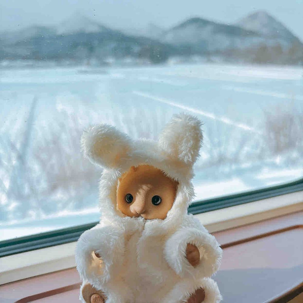 ぼく🐱はじめての秋田たび⛄❅*°
雪いっぱいだった❄🤍ˊ˗
