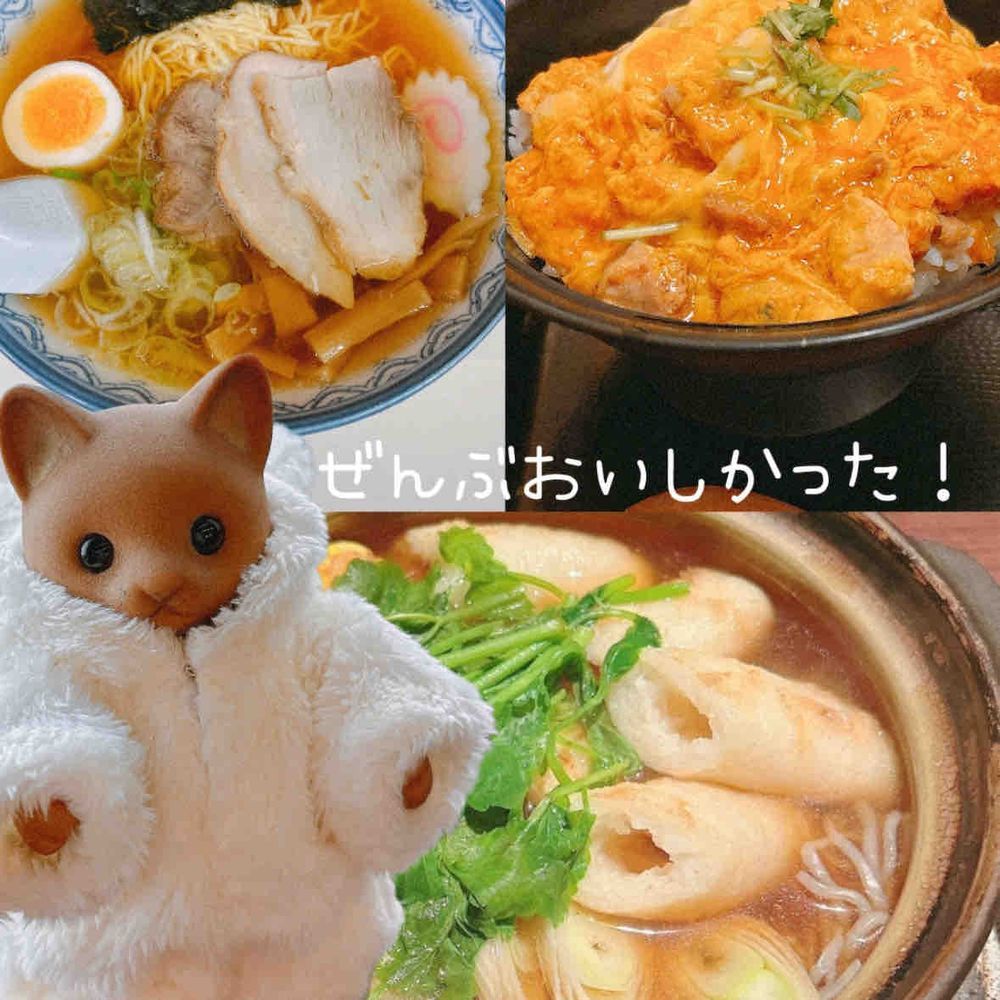 ぼく🐱はじめての秋田たび⛄❅*°
雪いっぱいだった❄🤍ˊ˗