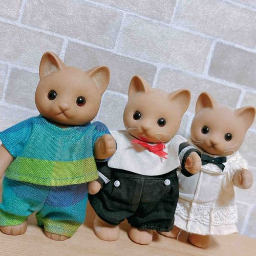 運命ふたたび🐱｡* ◌
きょうだい？！みつご？！！
そっくりさんすぎるふたりがおうちに来てくれた✩°｡⋆⸜(* ॑꒳ ॑*  )⸝
