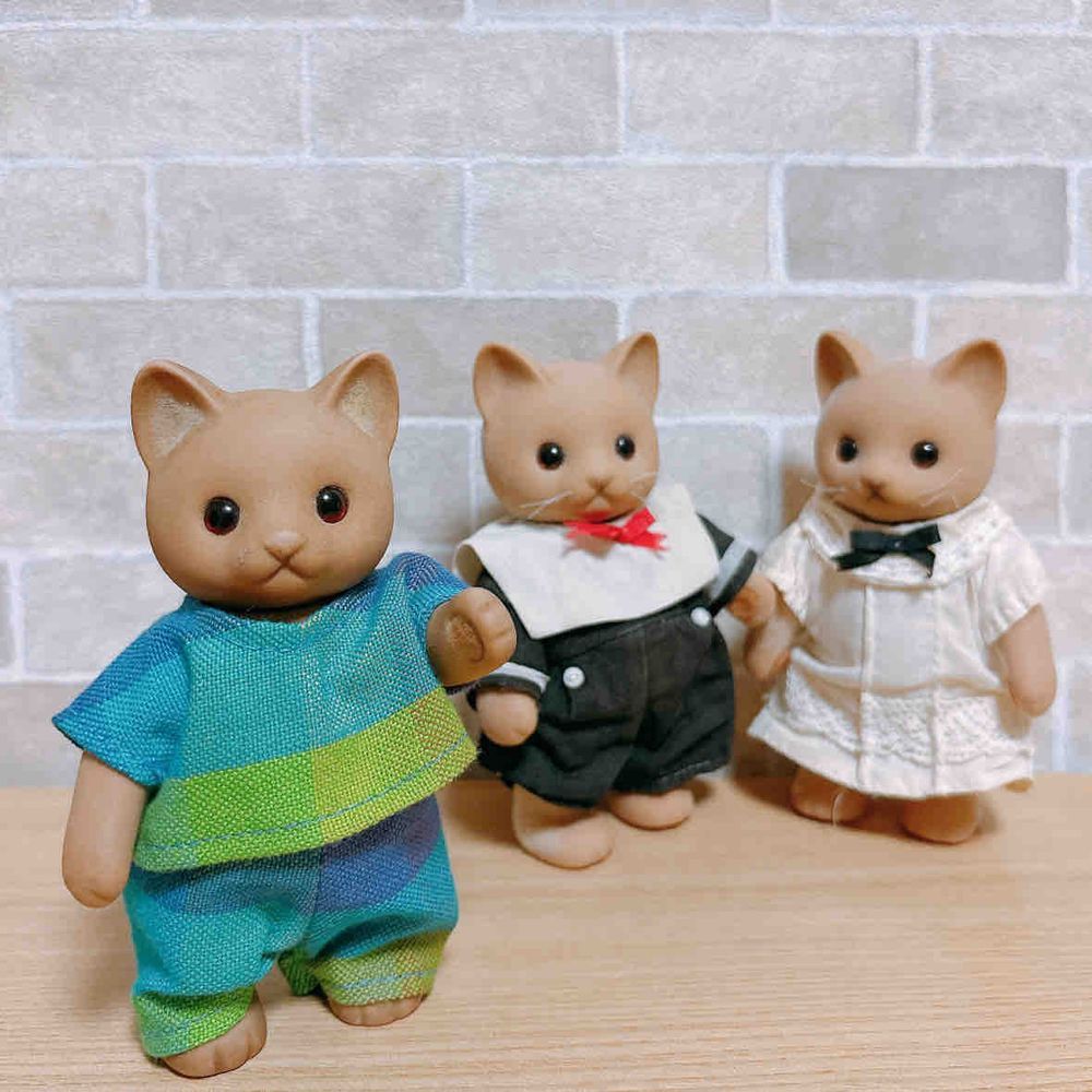 運命ふたたび🐱｡* ◌
きょうだい？！みつご？！！
そっくりさんすぎるふたりがおうちに来てくれた✩°｡⋆⸜(* ॑꒳ ॑*  )⸝
