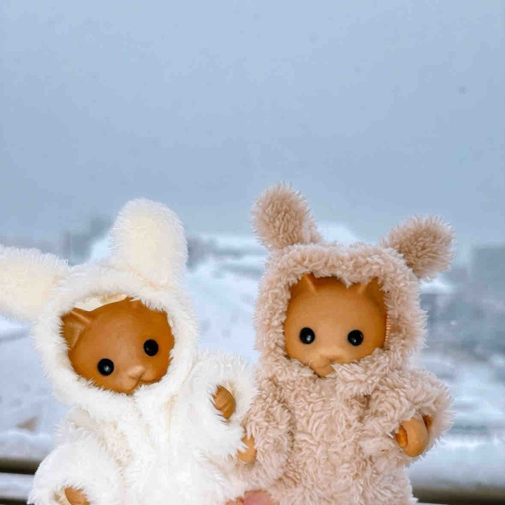 きょうはおともだちみんなのタイムラインが雪景色だ|ૂ•ᴗ•⸝⸝)🧊*॰
ぼくもベランダでちょびっとだけ雪あそびしたよ🐱🐱⛄️❄⟡꙳