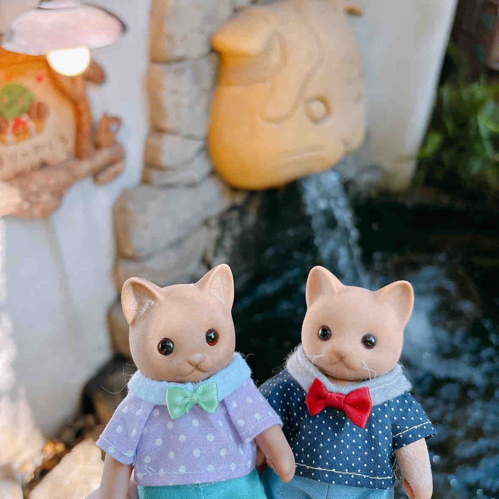 吉祥寺のプティット村へ 𖥣 𖤣 ⸒⸒﻿
フォトジェニックな場所がたくさん🐱🐱ꊛ⸝⸝