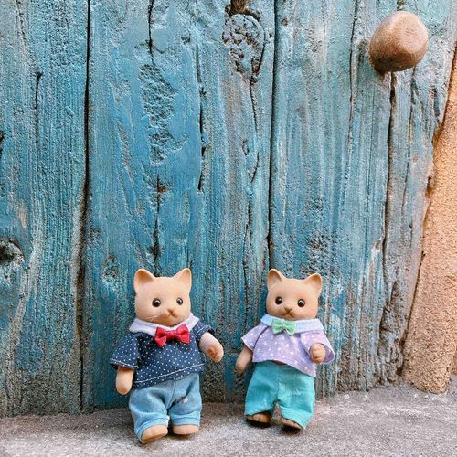 吉祥寺のプティット村へ 𖥣 𖤣 ⸒⸒﻿
フォトジェニックな場所がたくさん🐱🐱ꊛ⸝⸝