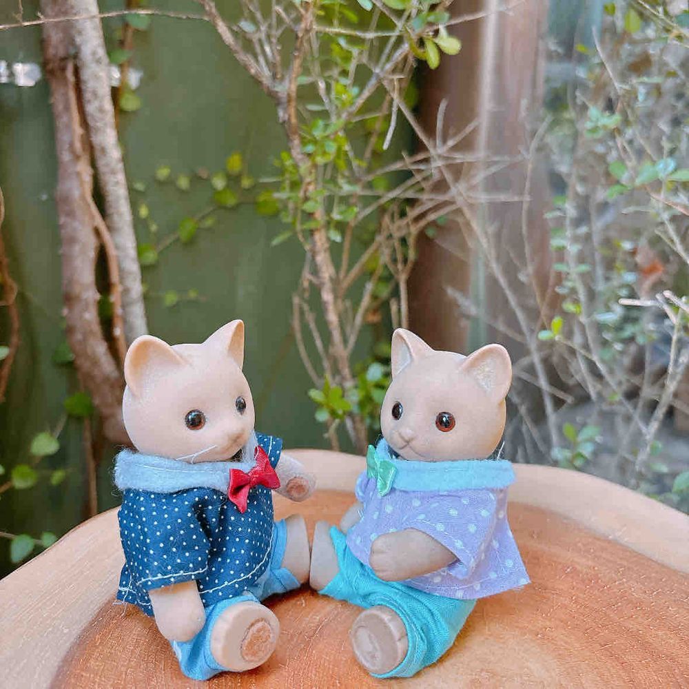 吉祥寺のプティット村へ 𖥣 𖤣 ⸒⸒﻿
フォトジェニックな場所がたくさん🐱🐱ꊛ⸝⸝