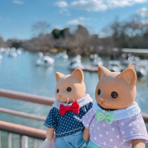 吉祥寺さんぽの後半は、井の頭公園˗ˋˏ(*•ᴗ•*)ˎˊ˗
スワンボートがいっぱいだ🦢✨