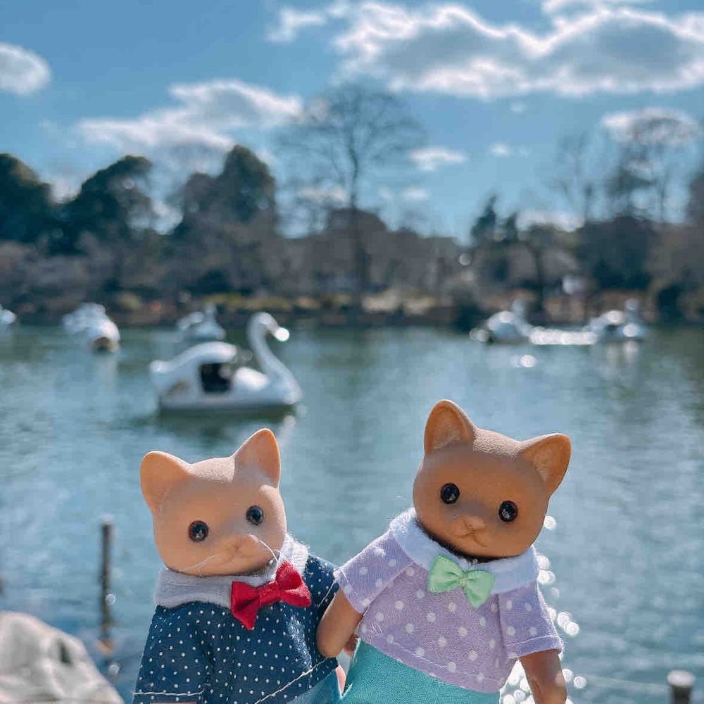 吉祥寺さんぽの後半は、井の頭公園˗ˋˏ(*•ᴗ•*)ˎˊ˗
スワンボートがいっぱいだ🦢✨