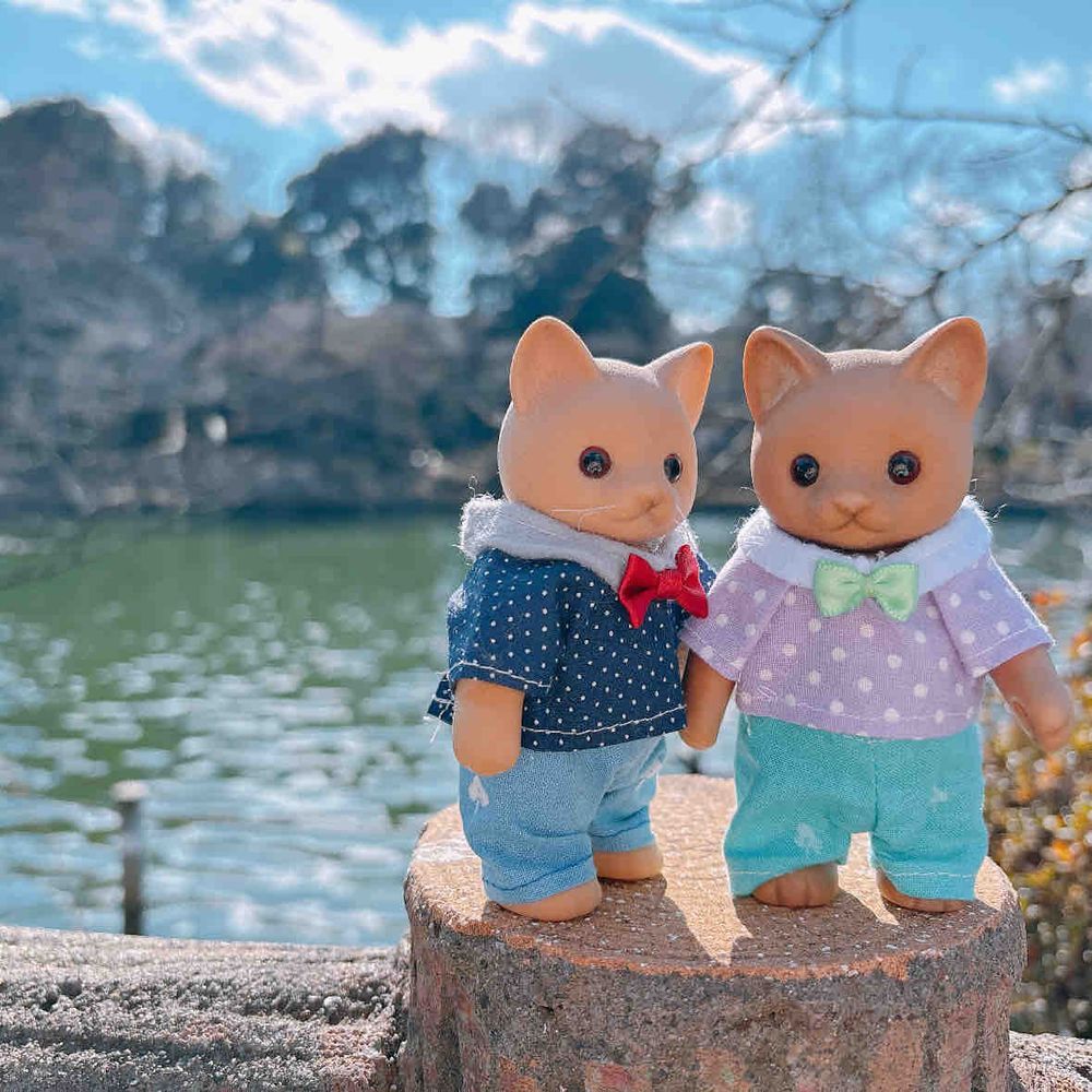 吉祥寺さんぽの後半は、井の頭公園˗ˋˏ(*•ᴗ•*)ˎˊ˗
スワンボートがいっぱいだ🦢✨