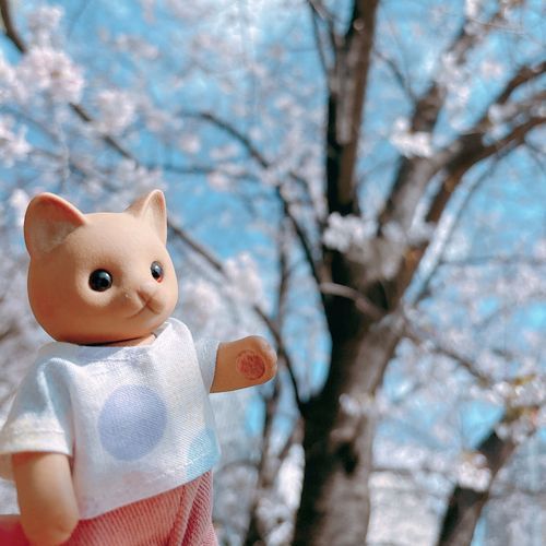 |•ω•｡)"…ﾁﾗｯ🌸

みんなおひさしぶりです🐱｡* ◌
ゆったりペースで、またみんなとおしゃべりできたらうれしいな🐾