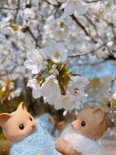 今年1番のおきにいり写真🌸🍃
＠光が丘こうえん