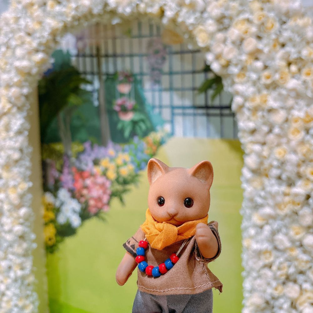 おしゃれねこりん再び…！
かいぬしの推し活にお付き合い💛🤎(先月のおしゃしんです🐱)