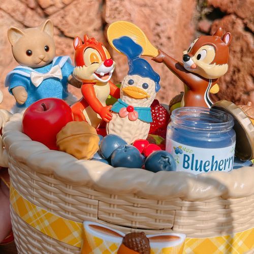お気に入りのドナちゃんコーデでディズニーランドへいってきました🪿 ˒˒
