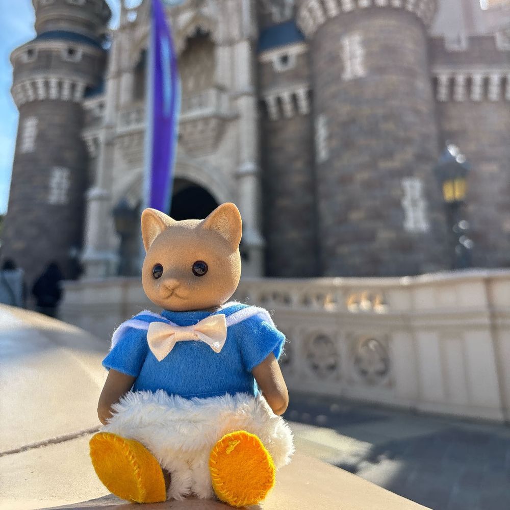 お気に入りのドナちゃんコーデでディズニーランドへいってきました🪿 ˒˒
