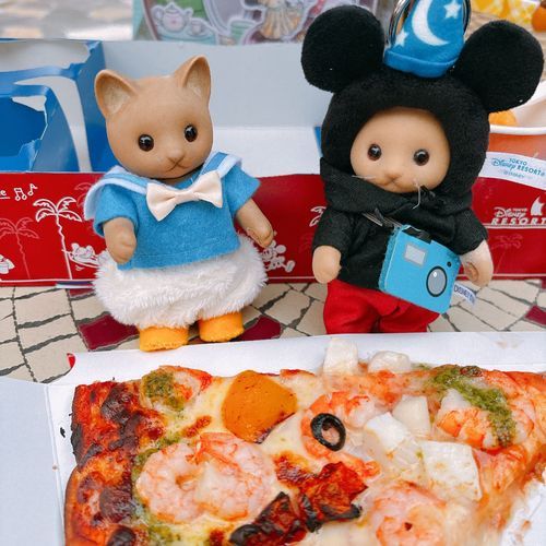 ディズニーのおもいで②
パークをお散歩しながら美味しいものをたくさんたべたり🐱🐱🍕₊⁺