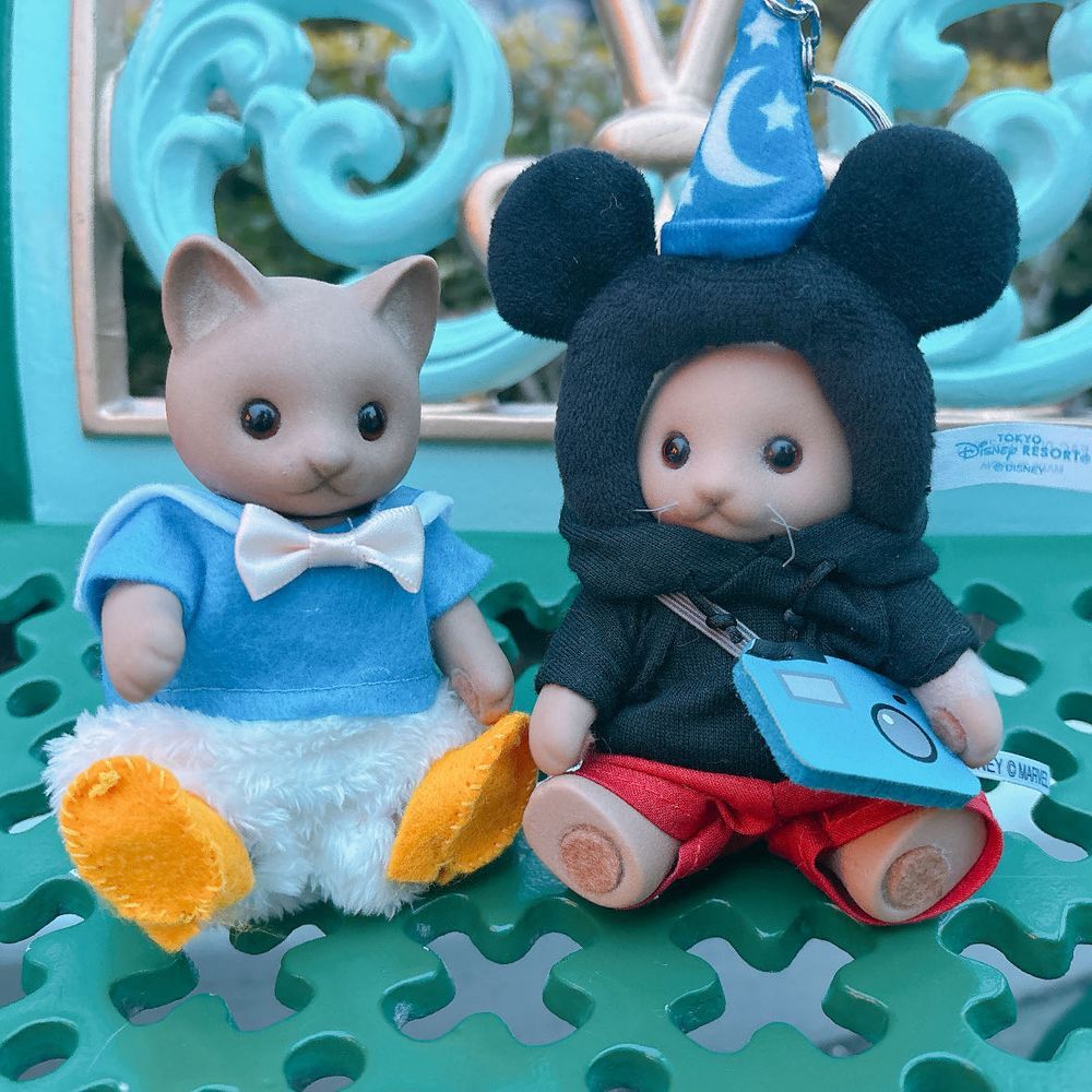 ディズニーのおもいで②
パークをお散歩しながら美味しいものをたくさんたべたり🐱🐱🍕₊⁺