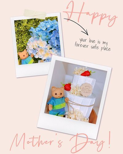 ことしの母の日⸜🌷⸝
かいぬしたちが写真スタジオに行くっていうから、ちゃっかり同行して小道具つかってあそんでた🐱🫶🏻