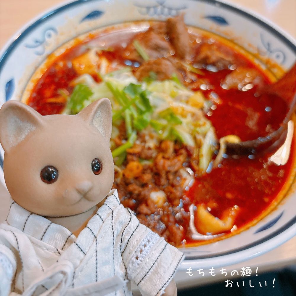 ねこりん、本格中華に出会う！
はじめての𰻞𰻞麺🍜✧*｡