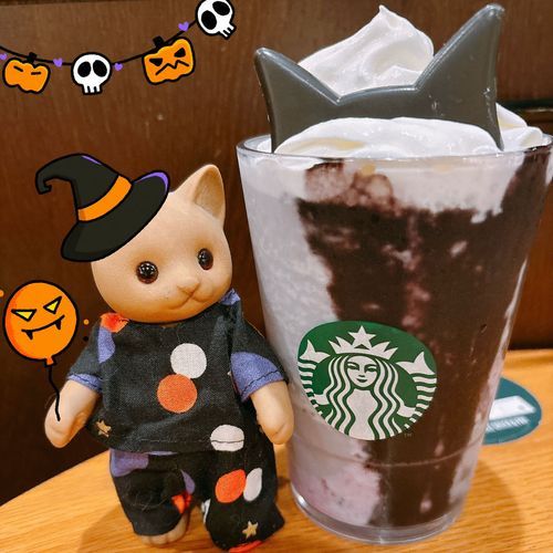 ⋆⸜ 🎃ྀི ʜᴀᴘᴘʏ ʜᴀʟʟᴏᴡᴇᴇɴ 👻 ⸝⋆
スタバの猫耳フラペチーノーー！おいしかった…🐈‍⬛✧*｡

スタンプありなし、どっちもかわいい🐱(おやばか)