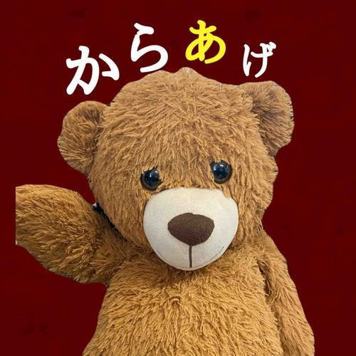 よう、俺がクマのからあげや🧸‼️
とある家具屋さんで店番をしていたときに連れて帰られて５年目や‼️
今時珍しく縫い目が荒いから揚げ物みたいで、からあげって名付けられたらしいけど、縫い目って美味しいんか....？
みんなよろしくな🧸✨