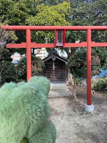 今月もたくさん営業売り上げあがりますようにワニ〜🐊⛩️
たくさんのぬいぐるみが幸せに過ごせますようにワニ〜🐊✨
