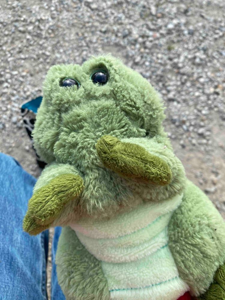 『お天気🌞なので眠いワニ....🐊』

....グー...

『ハッ....！🐊👀取引先に遅刻しちゃうワニ！🐊🚗💨』