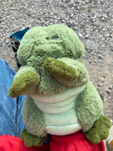 『お天気🌞なので眠いワニ....🐊』

....グー...

『ハッ....！🐊👀取引先に遅刻しちゃうワニ！🐊🚗💨』