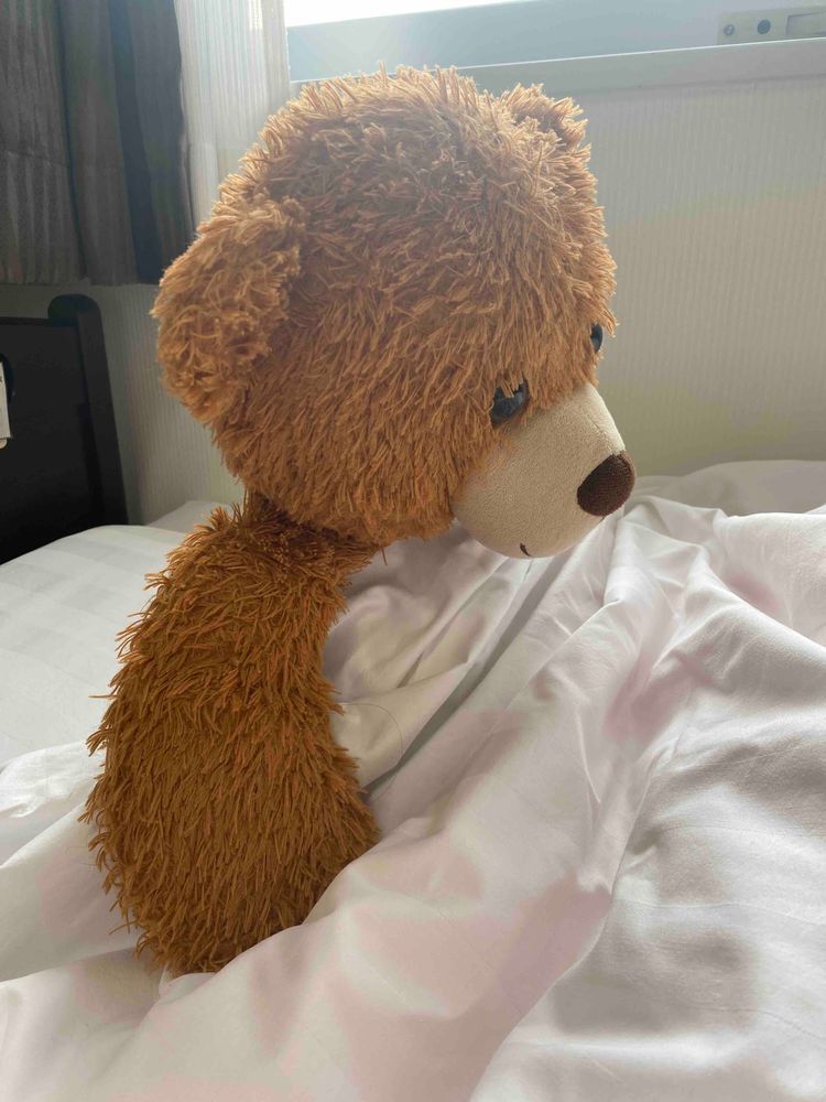 おそようみんな🧸🌞

俺はとってもよく眠るクマなんや🧸💤

よし、布団から出ておやつでも買いにいこうかな？🧸🍪

みんなはどんなおやつが好き？🧸✨