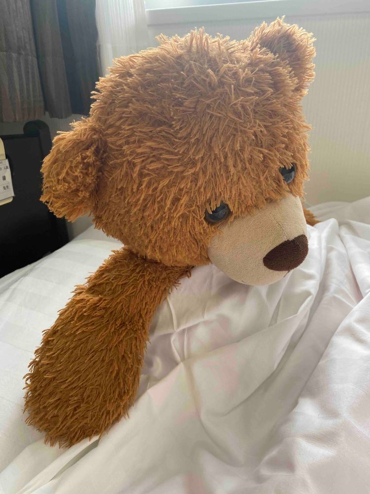 おそようみんな🧸🌞

俺はとってもよく眠るクマなんや🧸💤

よし、布団から出ておやつでも買いにいこうかな？🧸🍪

みんなはどんなおやつが好き？🧸✨