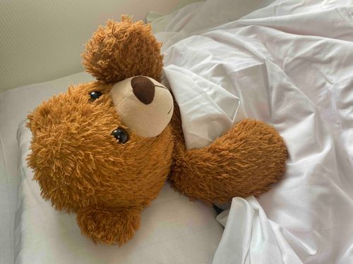 おそようみんな🧸🌞

俺はとってもよく眠るクマなんや🧸💤

よし、布団から出ておやつでも買いにいこうかな？🧸🍪

みんなはどんなおやつが好き？🧸✨