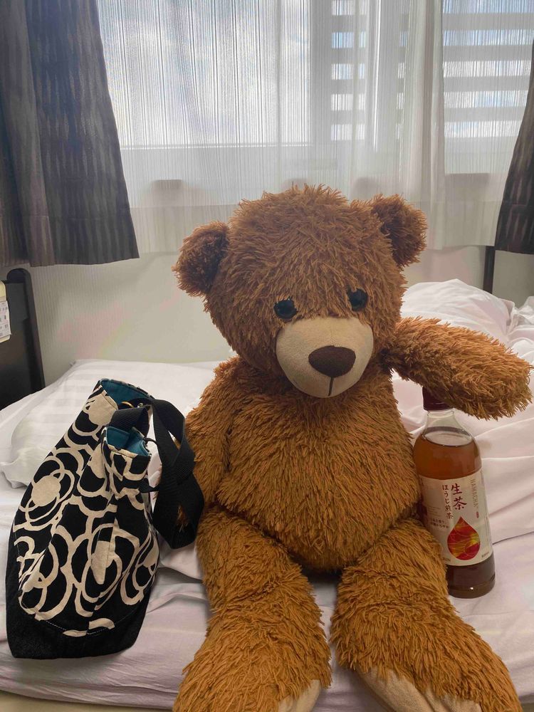 おそようみんな🧸🌞

俺はとってもよく眠るクマなんや🧸💤

よし、布団から出ておやつでも買いにいこうかな？🧸🍪

みんなはどんなおやつが好き？🧸✨