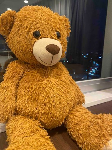 みんな今日もおつかれやったな🧸
夜になるの早いなぁ〜🧸🌉

あ、起きるの遅かったからやな🧸💡
みんな晩ご飯なに？🧸🍗