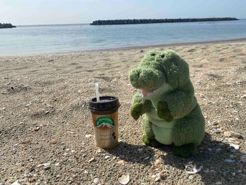 こんにちワニ〜🐊今日は祝日ということで、海にきたワニよぉ〜🐊✨
お友達に会って、美味しいカフェオレを飲んだワニ🐊✨
うみねこもいて、平和だったワニ...🐊✨