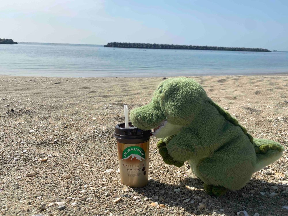こんにちワニ〜🐊今日は祝日ということで、海にきたワニよぉ〜🐊✨
お友達に会って、美味しいカフェオレを飲んだワニ🐊✨
うみねこもいて、平和だったワニ...🐊✨